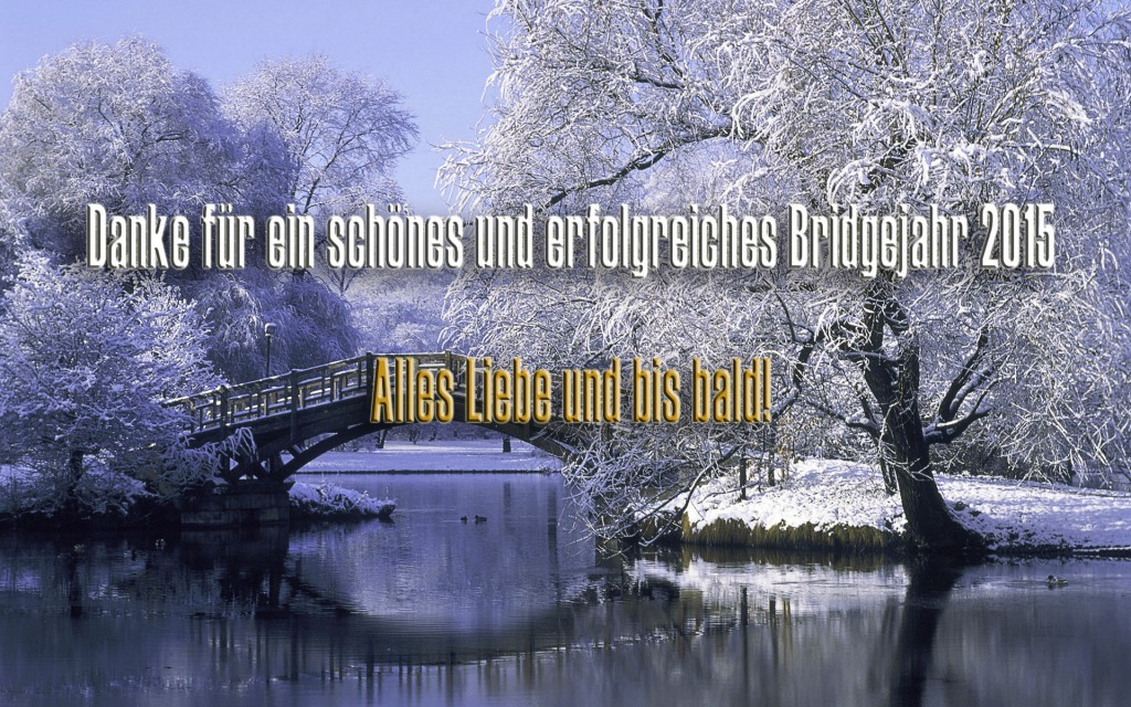 Bridge over a pond in the winter, Johannapark, Leipzig, Germany